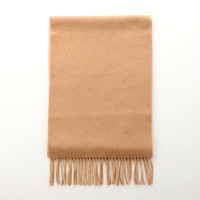 177895_camel