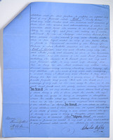 1880-NaplesWill2